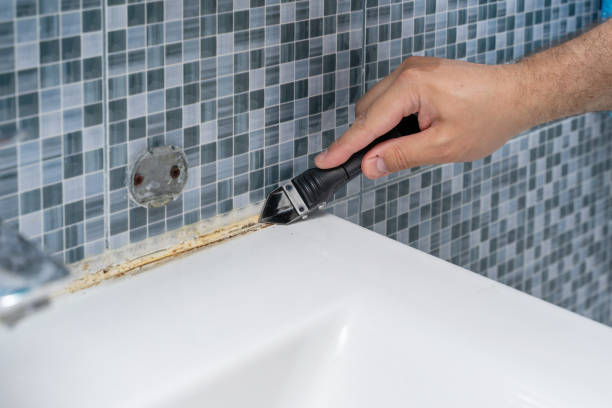 Best Residential Mold Removal  in Hollywood, FL